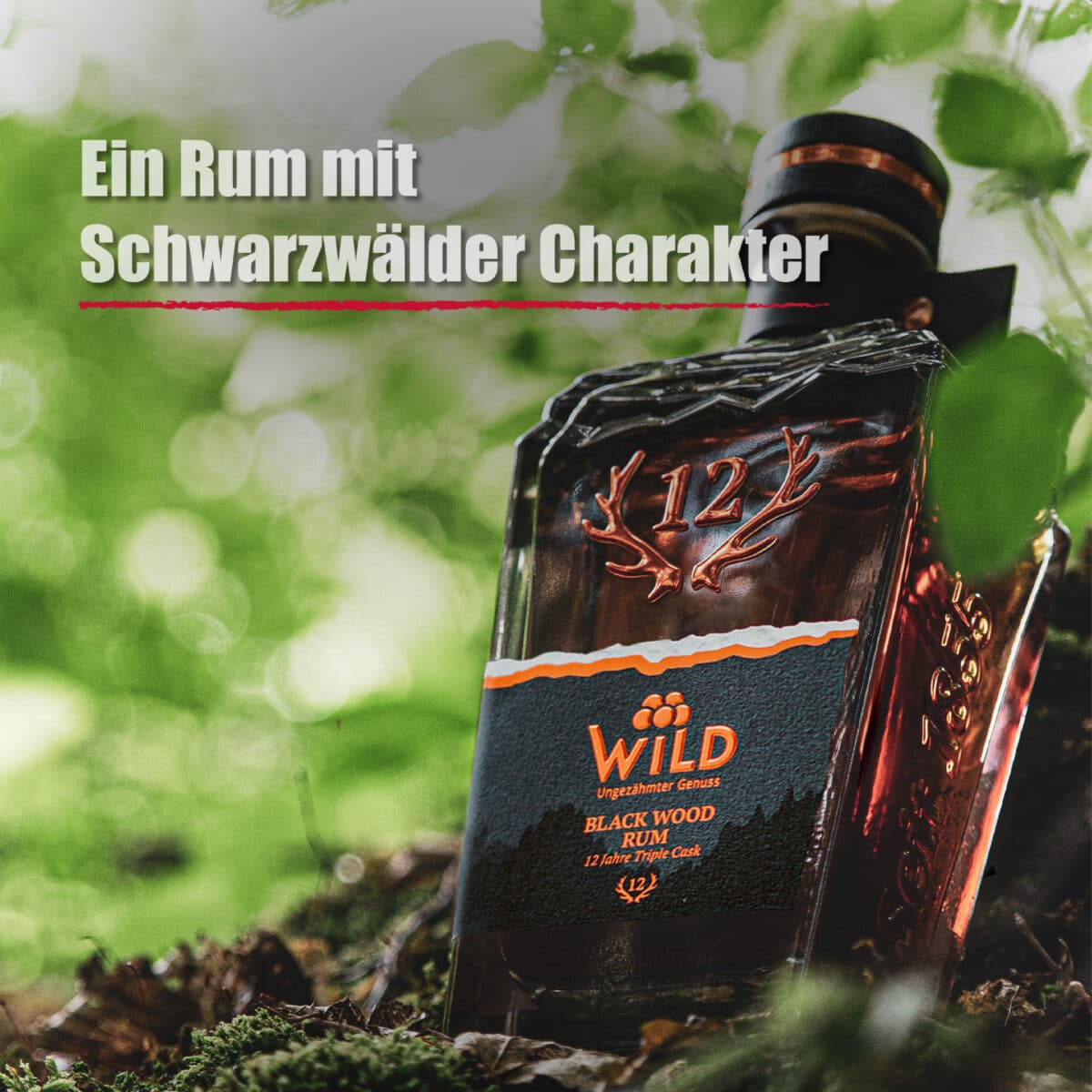 Eine Flasche Black Wood Rum steht auf moosbewachsenem Boden in einem Wald, darüber die Aufschrift "Ein Rum mit Schwarzwälder Charakter".