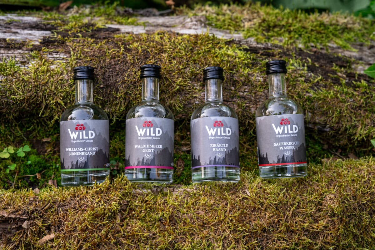 Vier etikettierte Flaschen der Wild Tasting-Box Edelbrände & Geiste sind im Freien auf grünem Moos angeordnet, mit einem umgestürzten Baumstamm und üppigem Grün im Hintergrund.