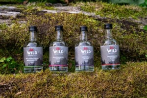 Vier etikettierte Flaschen der Wild Tasting-Box Edelbrände & Geiste sind im Freien auf grünem Moos angeordnet, mit einem umgestürzten Baumstamm und üppigem Grün im Hintergrund.