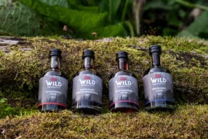 Vier Flaschen aus der Wild Tasting-Box Liköre mit verschiedenen Beerenaromen stehen auf moosbewachsenem Holz mit üppig grünem Laub im Hintergrund.