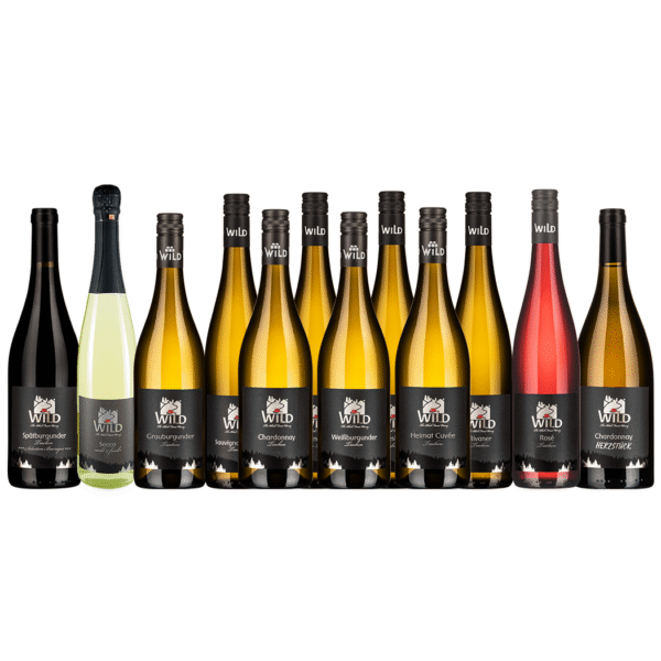 Das Winzer's Favorite groß-Weinpaket enthält zwölf schwarz etikettierte Flaschen, die in einer Reihe angeordnet sind, darunter Rot-, Weiß- und Roséwein sowie ein Sekt.
