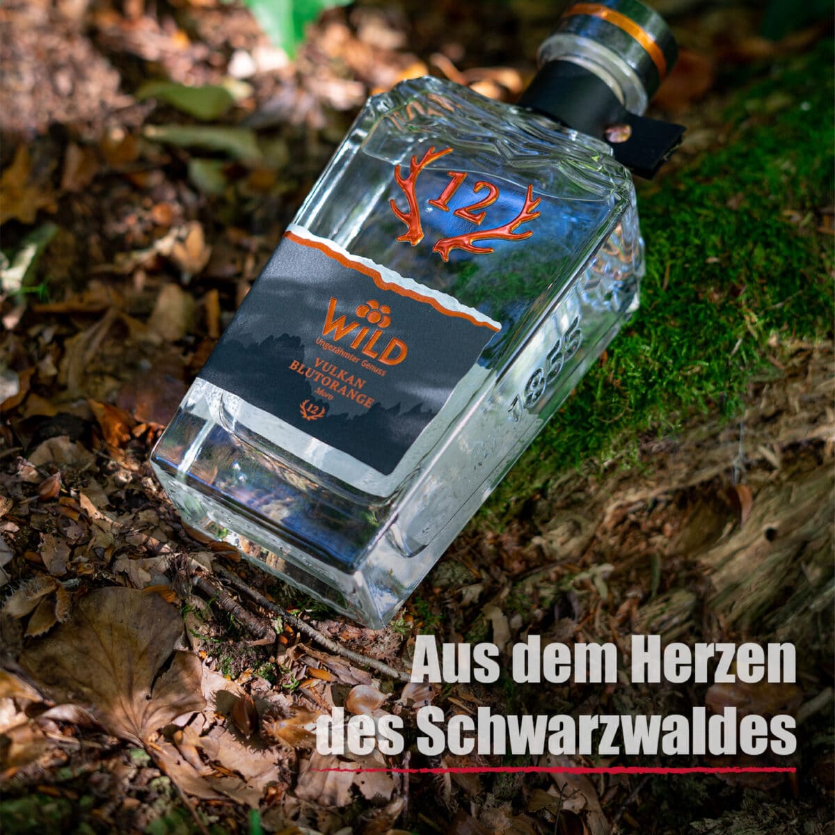 Eine Flasche Vulkan Blutorange Moro ruht auf Moos und Blättern im Freien, im Vordergrund steht der Text Aus dem Herzen des Schwarzwaldes.