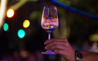 Weinfest in der Streuobstwiese – 09. – 11.06.2023